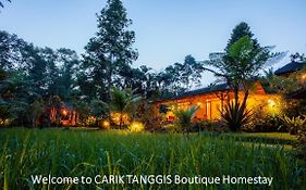 Carik Tangis Boutique Homestay