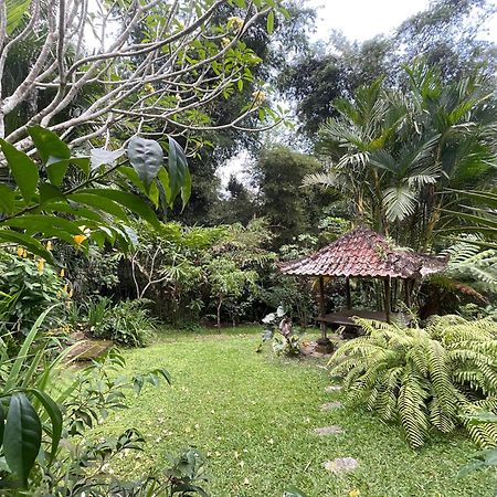 Carik Tangis Boutique Homestay Jatiluwih Buitenkant foto