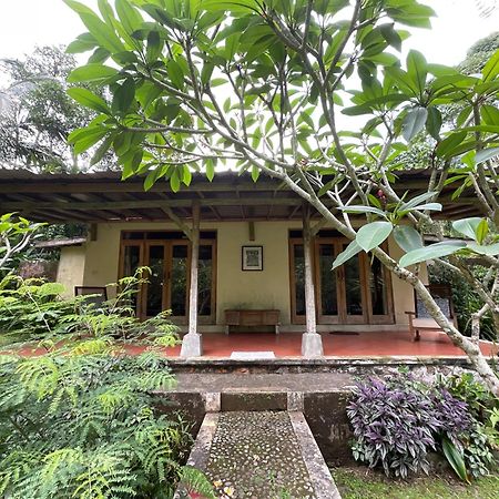 Carik Tangis Boutique Homestay Jatiluwih Buitenkant foto