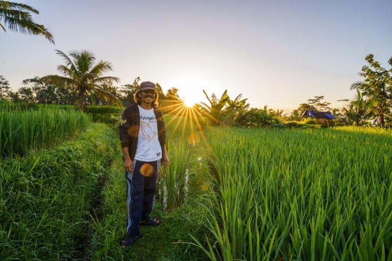 Carik Tangis Boutique Homestay Jatiluwih Buitenkant foto