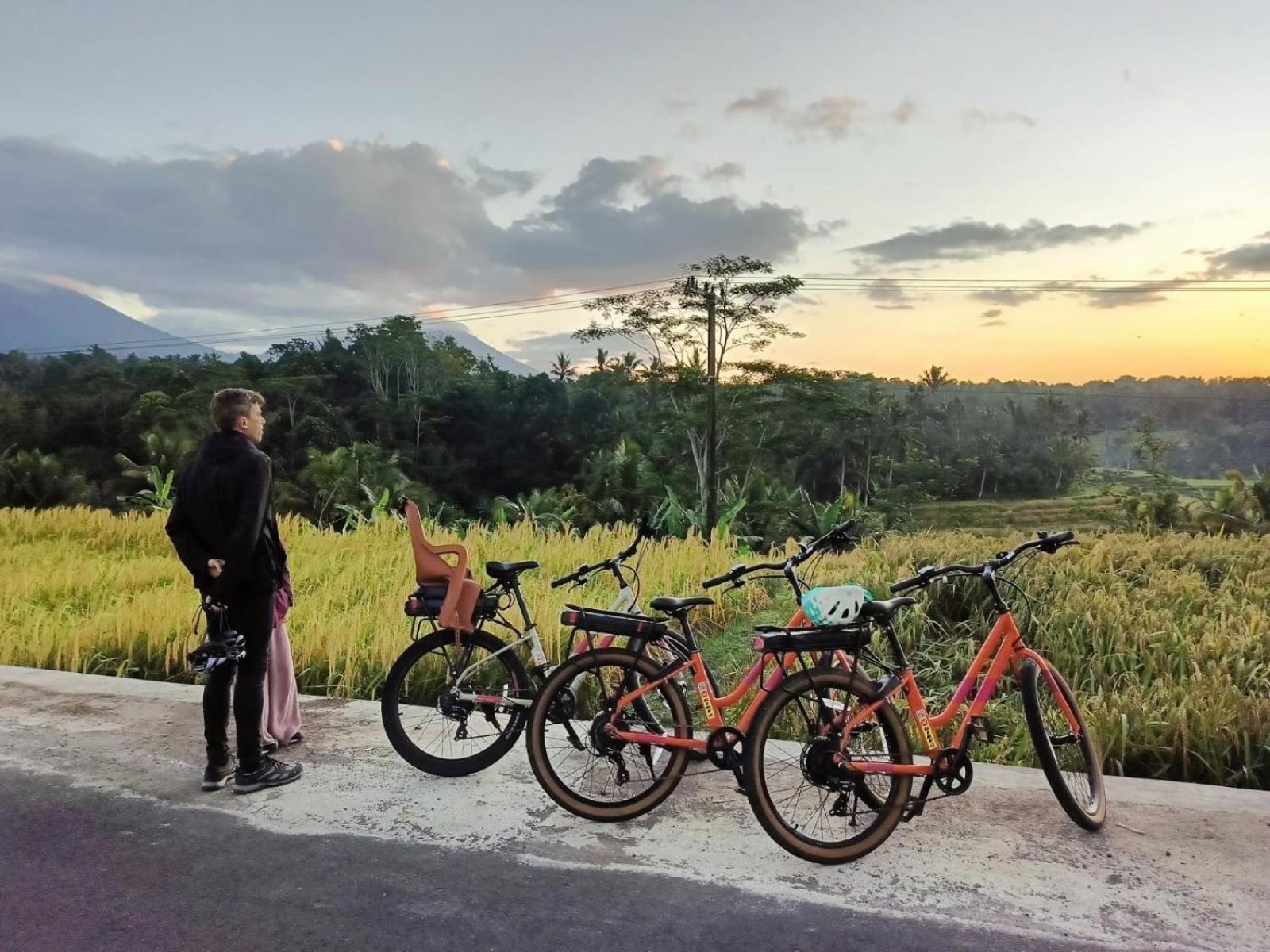 Carik Tangis Boutique Homestay Jatiluwih Buitenkant foto