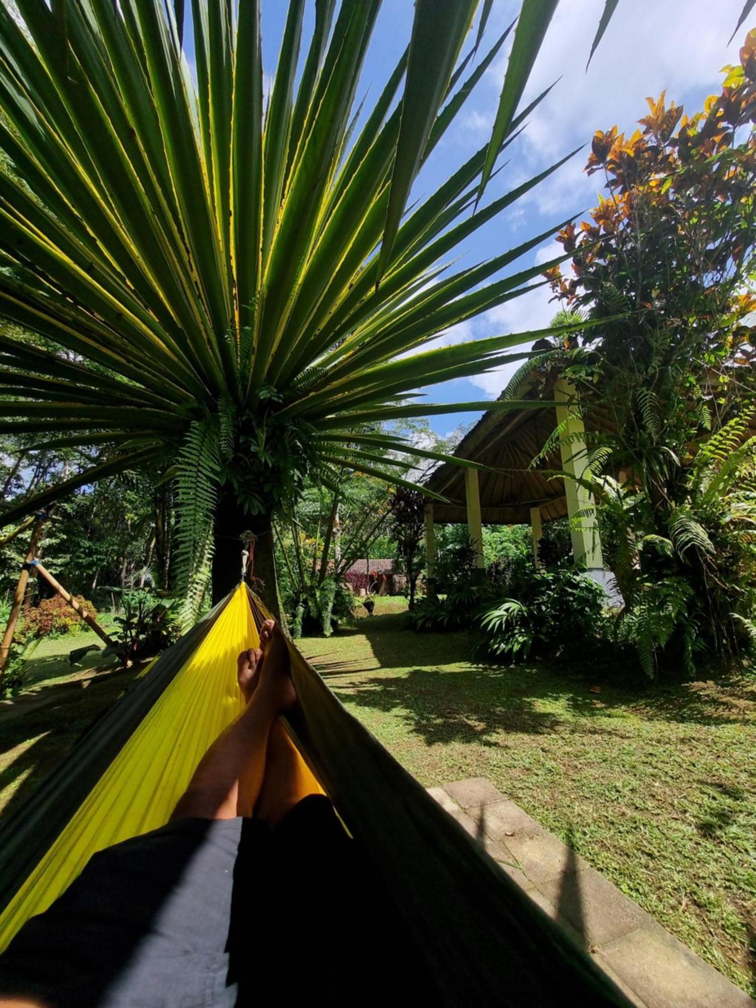 Carik Tangis Boutique Homestay Jatiluwih Buitenkant foto