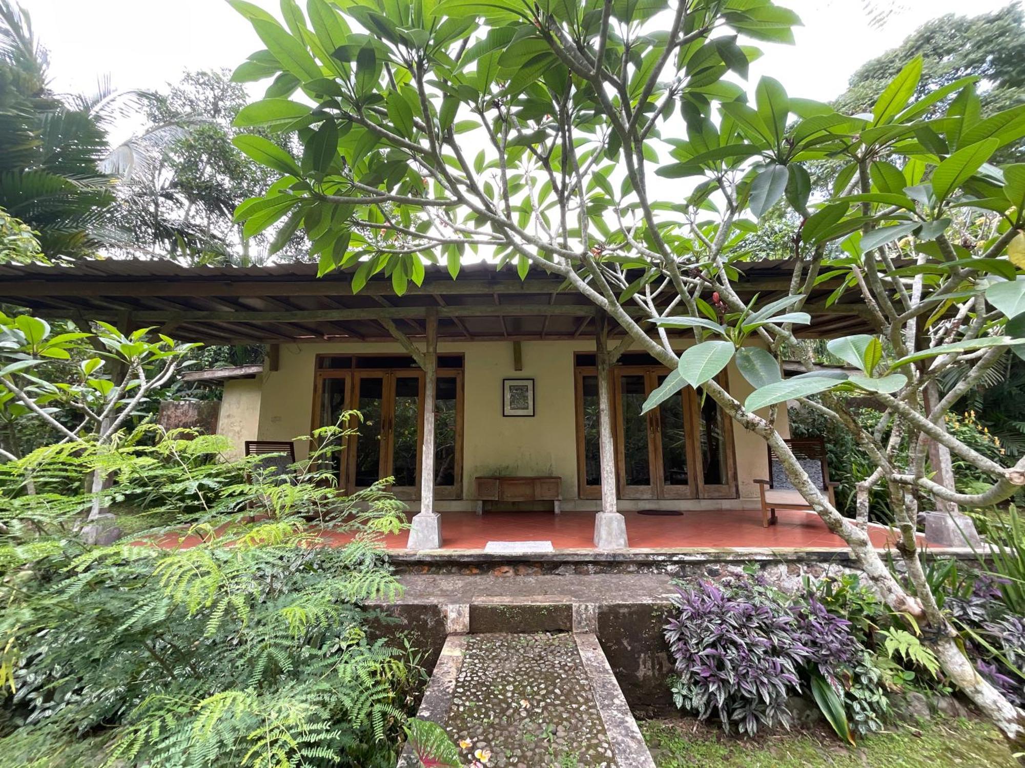 Carik Tangis Boutique Homestay Jatiluwih Buitenkant foto