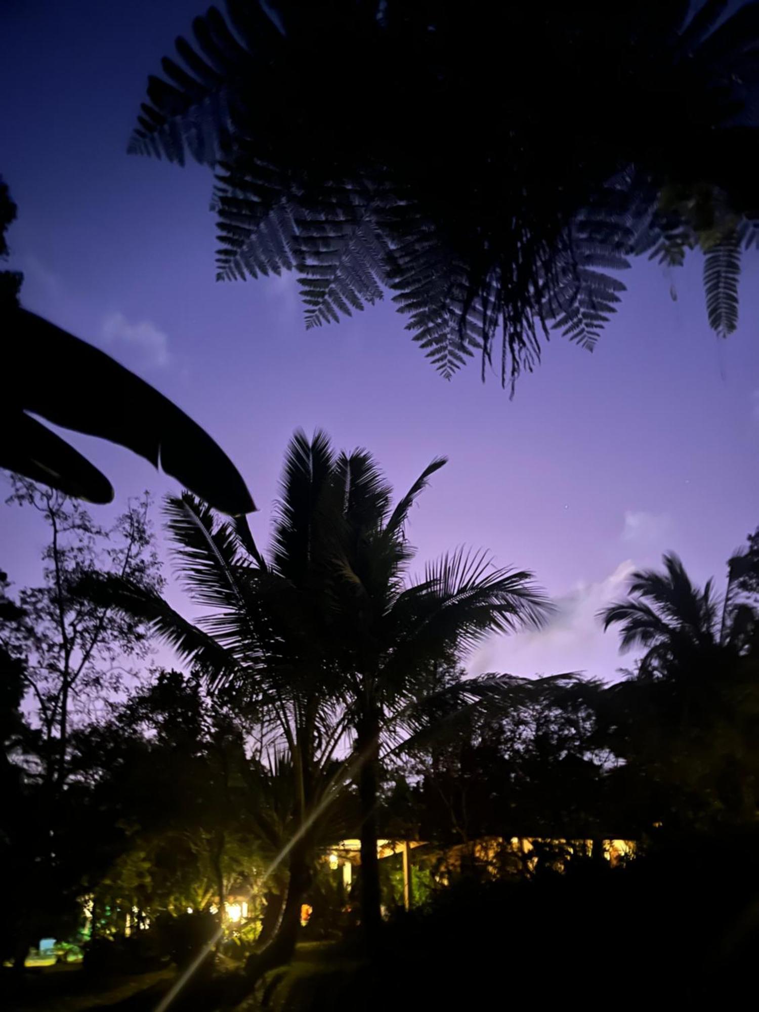 Carik Tangis Boutique Homestay Jatiluwih Buitenkant foto