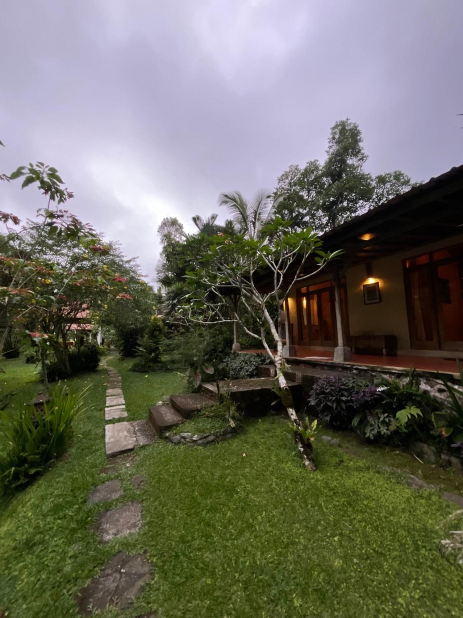Carik Tangis Boutique Homestay Jatiluwih Buitenkant foto
