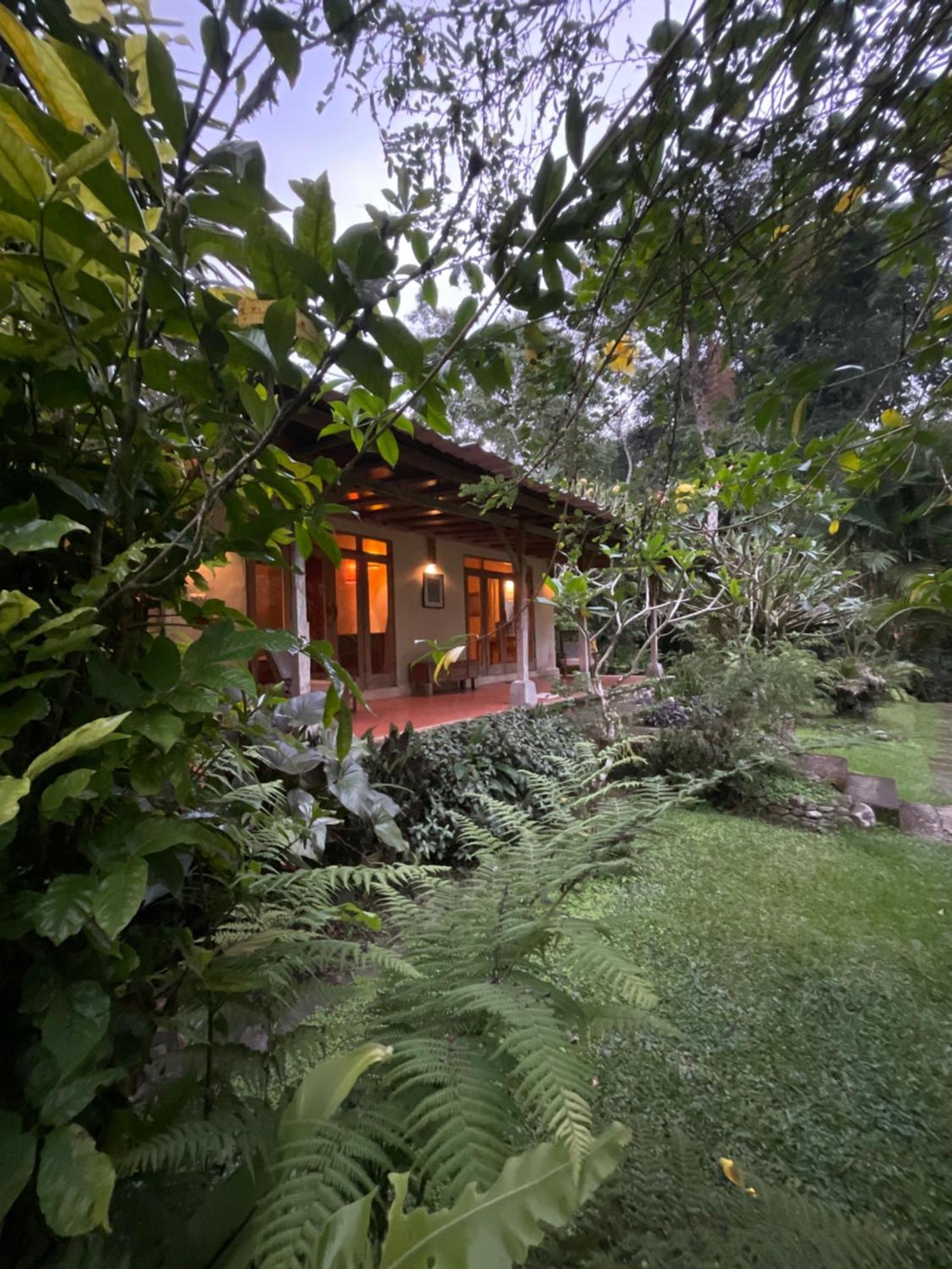 Carik Tangis Boutique Homestay Jatiluwih Buitenkant foto